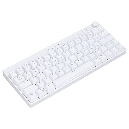 Kabellose Mechanische Gaming Tastatur, 64 Tasten, RGB Hintergrundbeleuchtung, Mechanische Bluetooth Tastatur, 3 Modus Verbindung, Mechanische Schlüsselschalter, Weiße Tastatur für(Brauner Schalter) von Bewinner