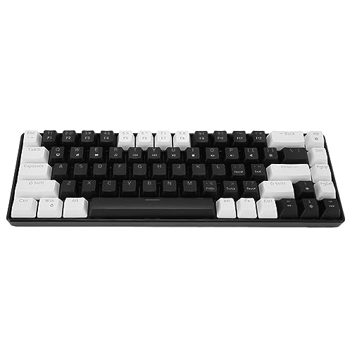 Mechanische Tastatur mit 68 Tasten, RGB-Licht, Zweifarbige Gaming-Tastatur mit Eisblauer Hintergrundbeleuchtung, Ergonomischem Design und Abnehmbarem Kabel, Kompatibel mit, von Bewinner