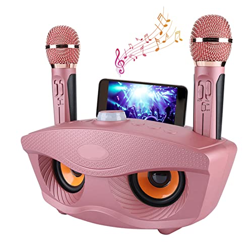 Tragbare Karaoke Maschine, Wireless Bluetooth Lautsprecher mit 2 Mikrofonen Home Karaoke Party Set für Familie Home Support AUX TF Karte U Disk FM Radio, Geschenk für Kinder von Bewinner