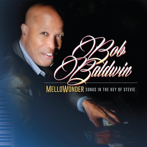 MelloWonder- Songs In The Key Of Stevie [Vinyl LP] von Bfd (Membran)