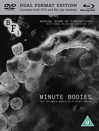 Minute Bodies: The Intimate World of F. Percy (DVD + Blu-ray) von Bfi