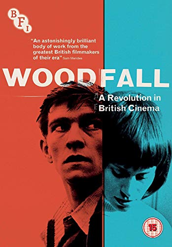 Woodfall: A Revolution in British Cinema (9-disc DVD box set) von Bfi