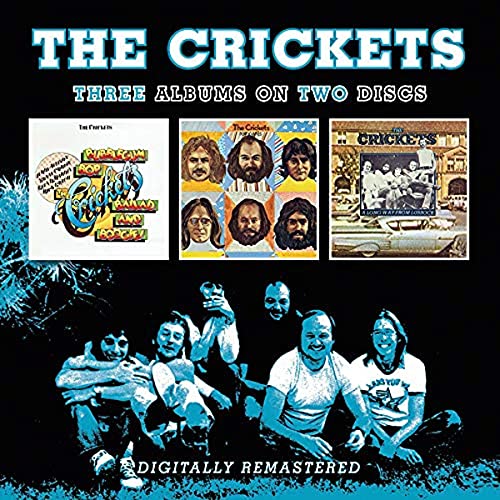 Crickets - Bubblegum, Bop, Ballad And Boogies/Remnants/A Long von Bgo Rec