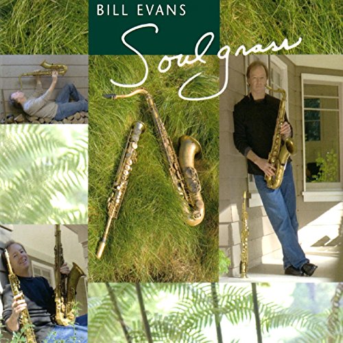 Soulgrass von Bhm (Zyx)