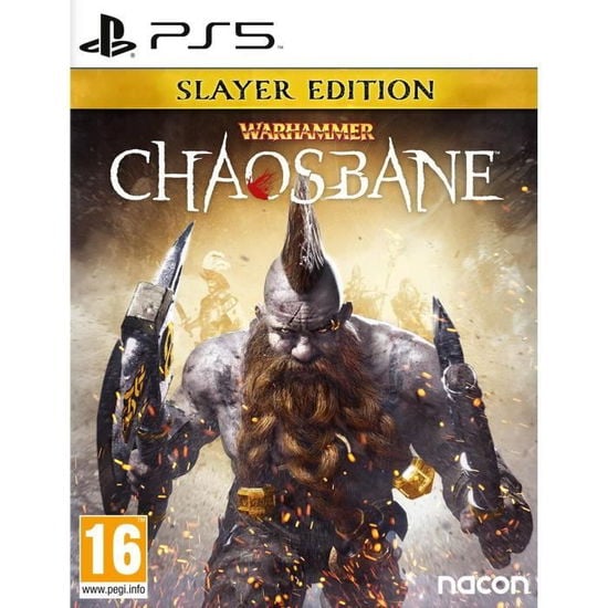 Warhammer: Chaosbane - Slayers Edition (FR/NL/Multi in Game) von Big Ben Interactive