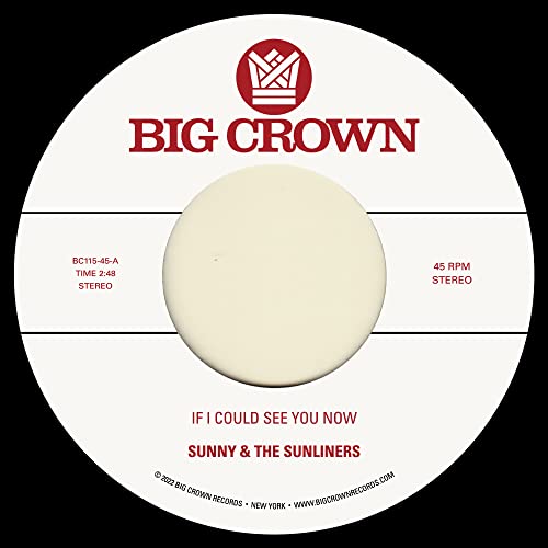 If I Could See You Now von VINYL