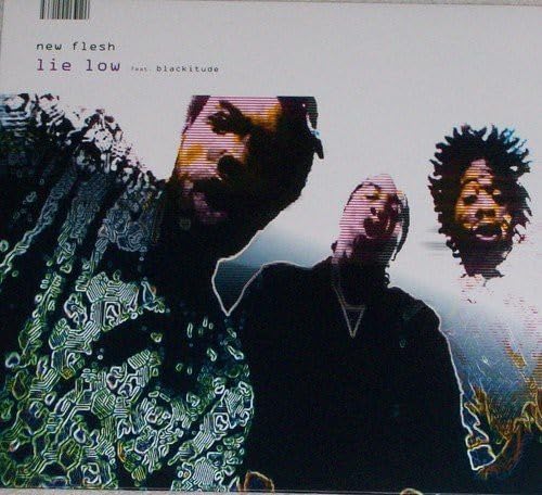 Lie Low [Vinyl Maxi-Single] von Big Dada