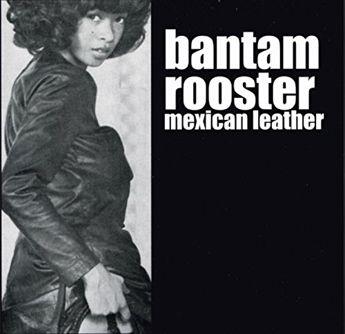Mexican Leather [Vinyl LP] von Big Neck Records