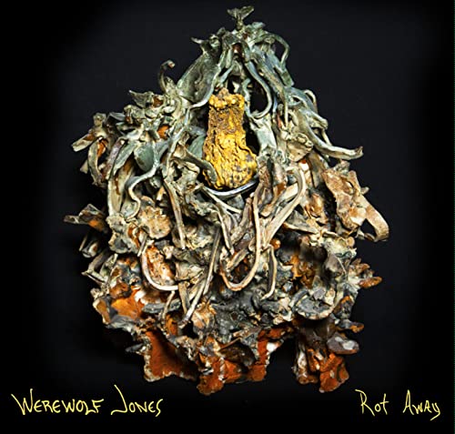 Rot Away [Vinyl LP] von Big Neck Records