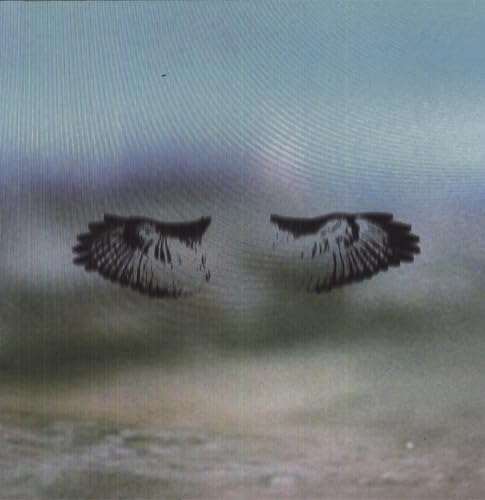 Miles of Mad Water [Vinyl LP] von Big Scary Monsters