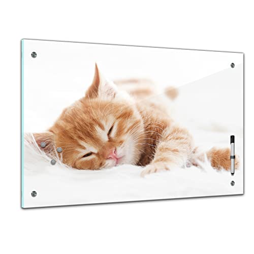 Bilderdepot24 Memoboard 60 x 40 cm | Tiere | schlafende Katze | abwaschbare Glas-Magnettafel mit Halterung Magneten Stift 1318 von Bilderdepot24