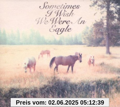 Sometimes I Wish We Were an Eagle Sometimes I Wish We Were an Eagle von Bill Callahan