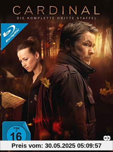 Cardinal - Die komplette dritte Staffel [Blu-ray] von Billy Campbell