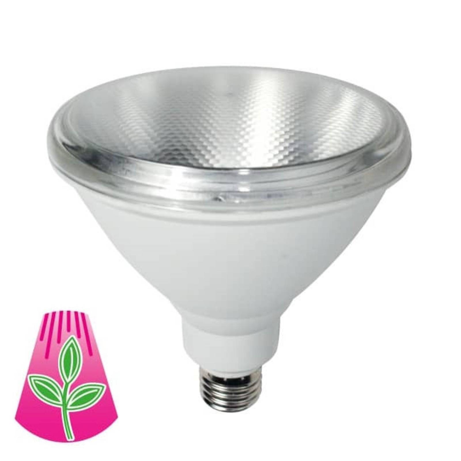 LED-Pflanzenlampe E27, PAR38, 10W, Vollspektrum LED-Pflanzenlampe E27, PAR38, 10W, Vollspektrum von Bioledex