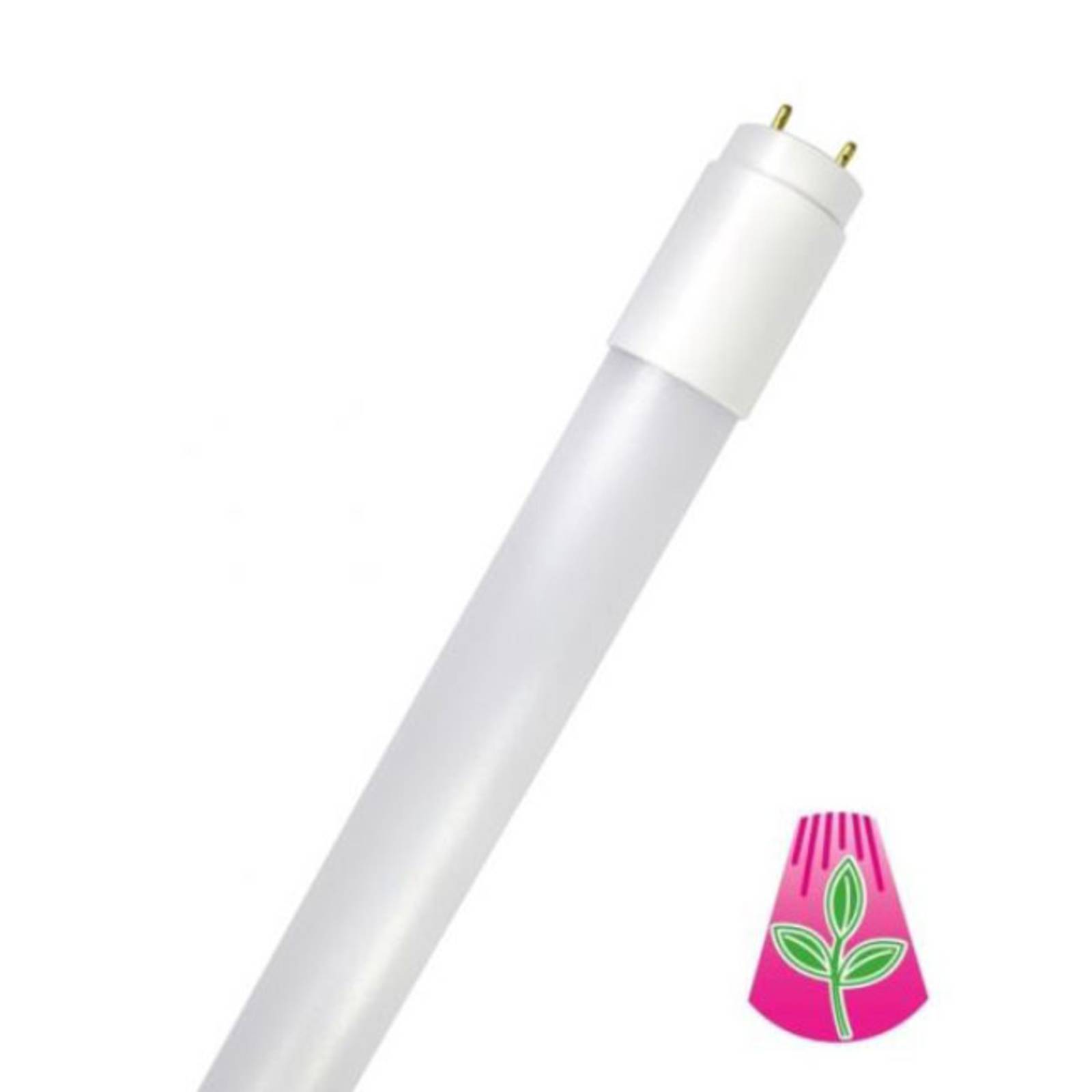 LED-Leuchtmittel Röhre GoLeaf T8 G13 Vollspektrum 8W 60cm LED-Leuchtmittel Röhre GoLeaf T8 G13 Vollspektrum 8W 60cm von Bioledex