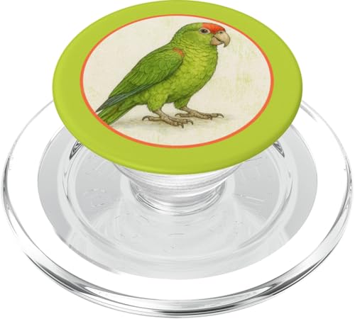 Buntes Papageien-Vogel-Design im Retro-Stil mit roter Krone PopSockets PopGrip für MagSafe Buntes Papageien-Vogel-Design im Retro-Stil mit roter Krone PopSockets PopGrip für MagSafe von Bird Fan