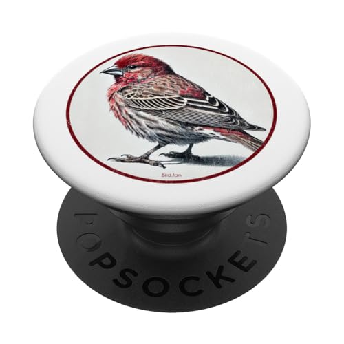Buntes Retro-Hausfinken-Vogel-Design PopSockets Klebender PopGrip Buntes Retro-Hausfinken-Vogel-Design PopSockets Klebender PopGrip von Bird Fan