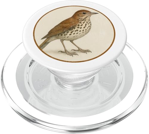 Buntes Retro-Holzdrossel-Vogel-Design PopSockets PopGrip für MagSafe Buntes Retro-Holzdrossel-Vogel-Design PopSockets PopGrip für MagSafe von Bird Fan