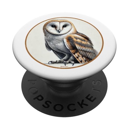 Buntes Retro-Scheunen-Eule-Vogel-Design PopSockets Klebender PopGrip Buntes Retro-Scheunen-Eule-Vogel-Design PopSockets Klebender PopGrip von Bird Fan