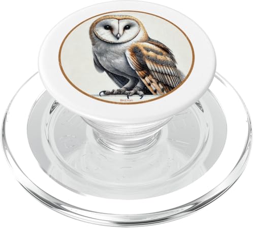 Buntes Retro-Scheunen-Eule-Vogel-Design PopSockets PopGrip für MagSafe Buntes Retro-Scheunen-Eule-Vogel-Design PopSockets PopGrip für MagSafe von Bird Fan