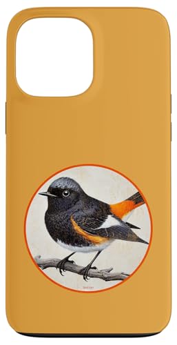 Buntes Retro-amerikanisches Rotschwanz-Vogel-Design Hülle für iPhone 13 Pro Max Buntes Retro-amerikanisches Rotschwanz-Vogel-Design Hülle für iPhone 13 Pro Max von Bird Fan