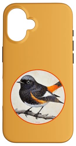 Buntes Retro-amerikanisches Rotschwanz-Vogel-Design Hülle für iPhone 16 Buntes Retro-amerikanisches Rotschwanz-Vogel-Design Hülle für iPhone 16 von Bird Fan