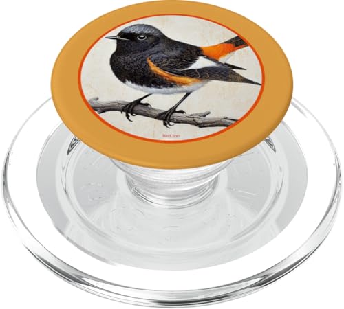 Buntes Retro-amerikanisches Rotschwanz-Vogel-Design PopSockets PopGrip für MagSafe Buntes Retro-amerikanisches Rotschwanz-Vogel-Design PopSockets PopGrip für MagSafe von Bird Fan