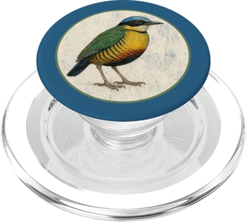Farbenfrohes Retro-Babbellied Pitta-Vogel-Design PopSockets PopGrip für MagSafe Farbenfrohes Retro-Babbellied Pitta-Vogel-Design PopSockets PopGrip für MagSafe von Bird Fan