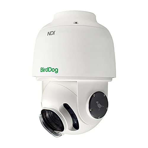 BirdDog Eyes A200 PTZ Kamera in Weiß Gen 2 IP67 Wetterbeständig Full NDI von BirdDog