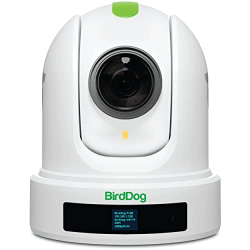 BirdDog P110 PTZ Kamera 1080P mit 10x Zoom, OLED Screen von BirdDog