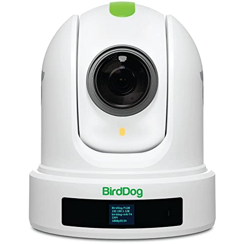 BirdDog P120 PTZ Kamera 1080P mit 20x Zoom, OLED Screen von BirdDog