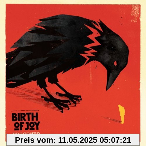 Prisoner Prisoner von Birth of Joy