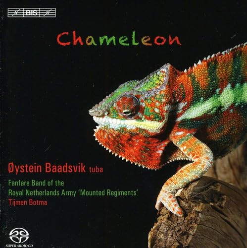 Chameleon von Bis (Klassik Center Kassel)