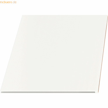 Bisley Fachboden für Nutzung hinter Schiebetüren HxBxT 12x365x311mm we Bisley Fachboden für Nutzung hinter Schiebetüren HxBxT 12x365x311mm we von Bisley