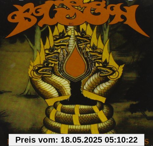 Dark Ages Dark Ages von Bison B.C.