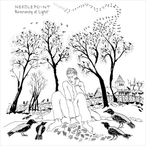 Remnants of Light [Vinyl LP] von Bjk Music / Indigo