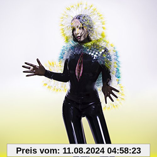 Vulnicura von Bjork