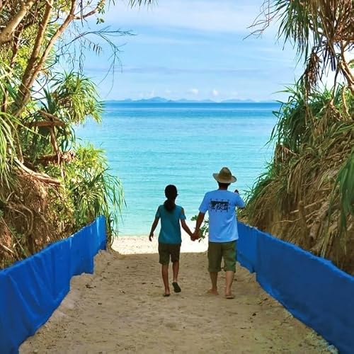 New Ocean [Vinyl LP] von Black Editions