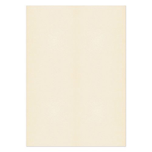 Blake Premium Business 61688 Papier Creme Wove SRA2 450 x 640 mm 120 g/m² | 250 Stück von Blake