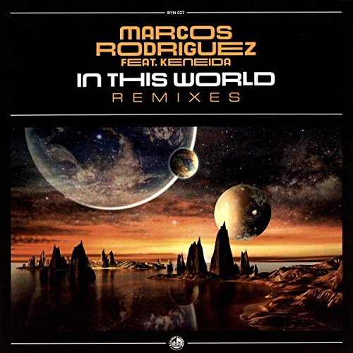 In This World-Remixes [Vinyl LP] von Blanco Y Negro (Nova MD)