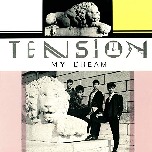 My Dream [Vinyl LP] von Blanco Y Negro (Zyx)