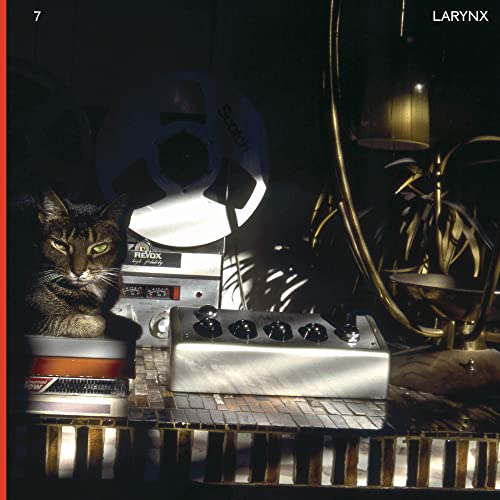 Larynx [Vinyl LP] von Blank Forms
