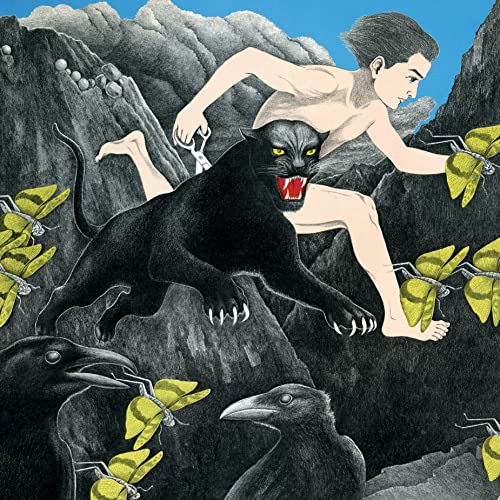 A String of Paper Cranes Clenched Between My Teeth [Vinyl LP] von Blank Forms