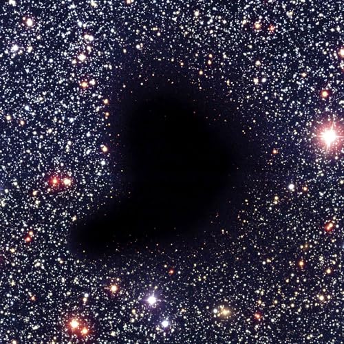 Solo for Tamburium [Vinyl LP] von Blank Forms