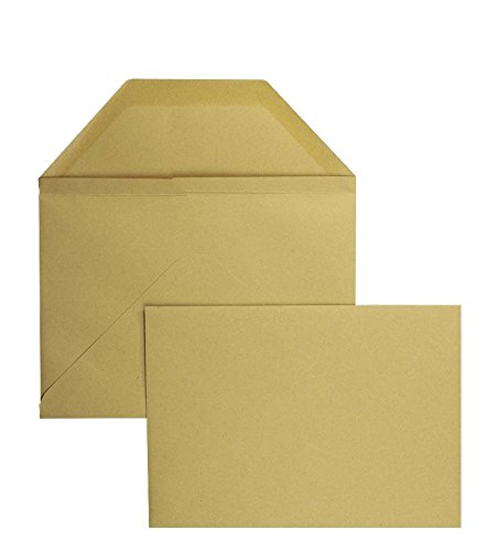 Blanke Briefhüllen - 250 Wertbriefumschläge im Format 162 x 229 mm (DIN C5) in Braun von Blanke Briefhüllen GmbH