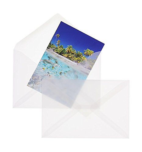 100 Stück, Transparente Briefumschläge, 120 x 180 mm, Nassklebung, Spitze Klappe, 90 g/qm Offset, Ohne Fenster, Weiß (Transparent-Weiß), Blanke Briefhüllen von Blanke Briefhüllen