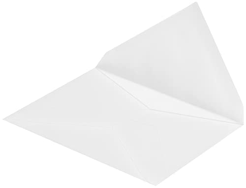 100 Stück, Transparente Briefumschläge, 62 x 98 mm, Nassklebung, Spitze Klappe, 90 g/qm Offset, Ohne Fenster, Weiß (Transparent-Weiß), Blanke Briefhüllen von Blanke Briefhüllen