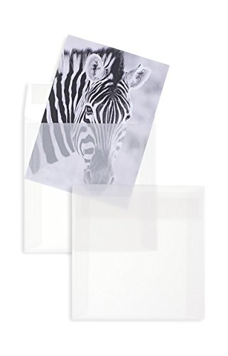 Blanke Briefhüllen, Transparente Briefumschläge, 100 Stück, Haftklebung mit Abziehstreifen, Ohne Fenster, Gerade Klappe, 130 x 130 mm, 100 g/qm Offset, Weiß (Transparent-Weiß) von Blanke Briefhüllen