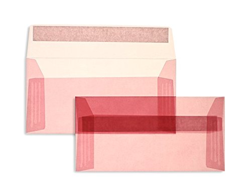 Farbige Transparent-Hüllen | Premium | 110 x 220 mm (DIN Lang) Rosa (100 Stück) mit Abziehstreifen | Briefhüllen, Kuverts, Couverts, Umschläge mit 2 Jahren Zufriedenheitsgarantie von Blanke Briefhüllen