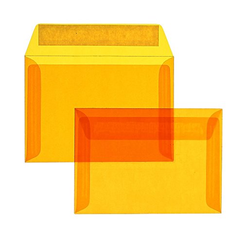 Farbige Transparent-Hüllen | Premium | 114 x 162 mm (DIN C6) Orange (100 Stück) mit Abziehstreifen | Briefhüllen, Kuverts, Couverts, Umschläge mit 2 Jahren Zufriedenheitsgarantie von Blanke Briefhüllen